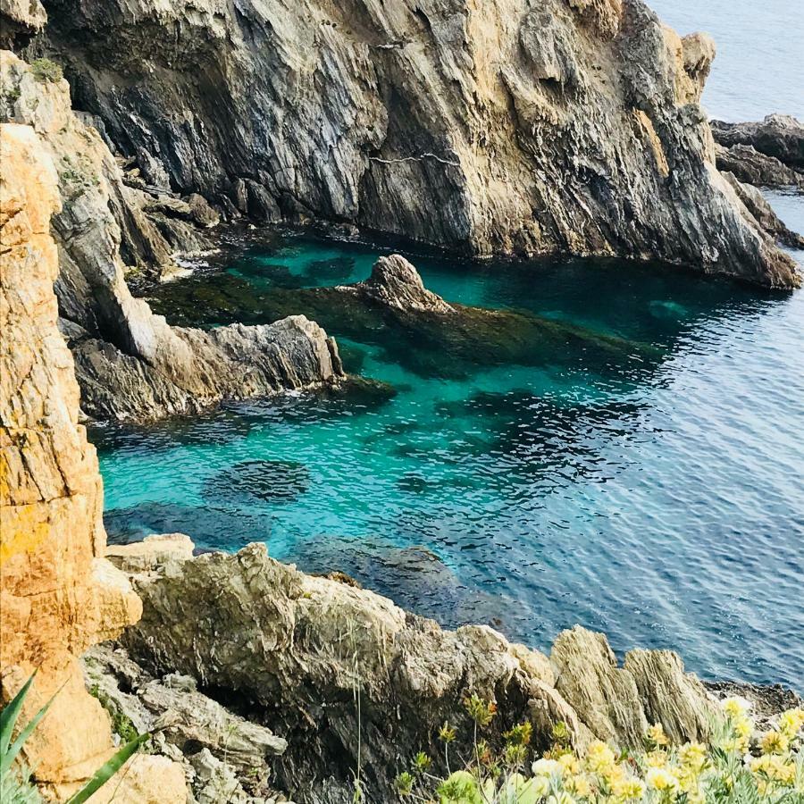 Villa K Presqu Ile De Giens Hyères Eksteriør bilde